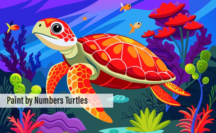 Paint by Numbers Turtles