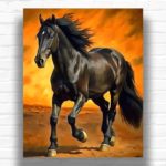 Black Horse - Horse Paint by Number Kit