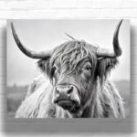 Highland Cow - Black and White Paint by Number