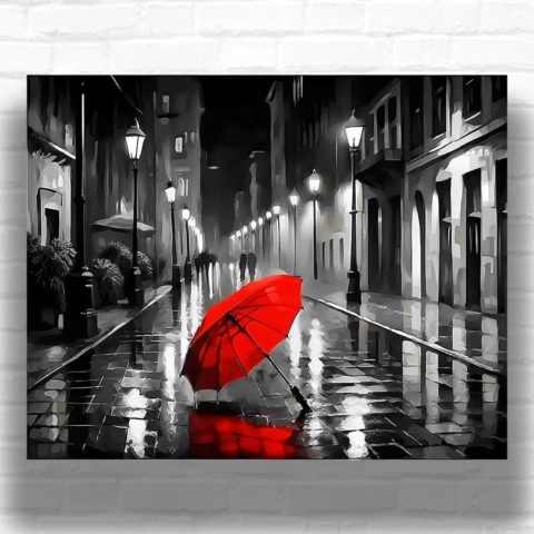 Red Umbrella - Black and White Paint by Numbers for Adults