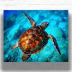 Brown Sea Turtle - Turtle Paint by Numbers for Adults