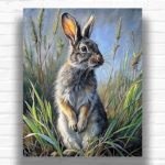 Grey Hare in the Meadow - Paint by Numbers Rabbit