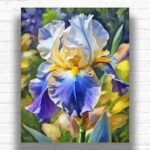 Rainbow Iris - Flower Paint by Number