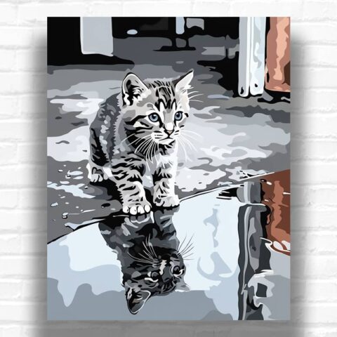 Kitten Reflection - Cat Paint by Number Kit